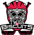 twigs n biscuits hockey mask puck stick sticks pucks goal goalie 
